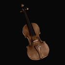 violin